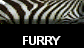  FURRY 